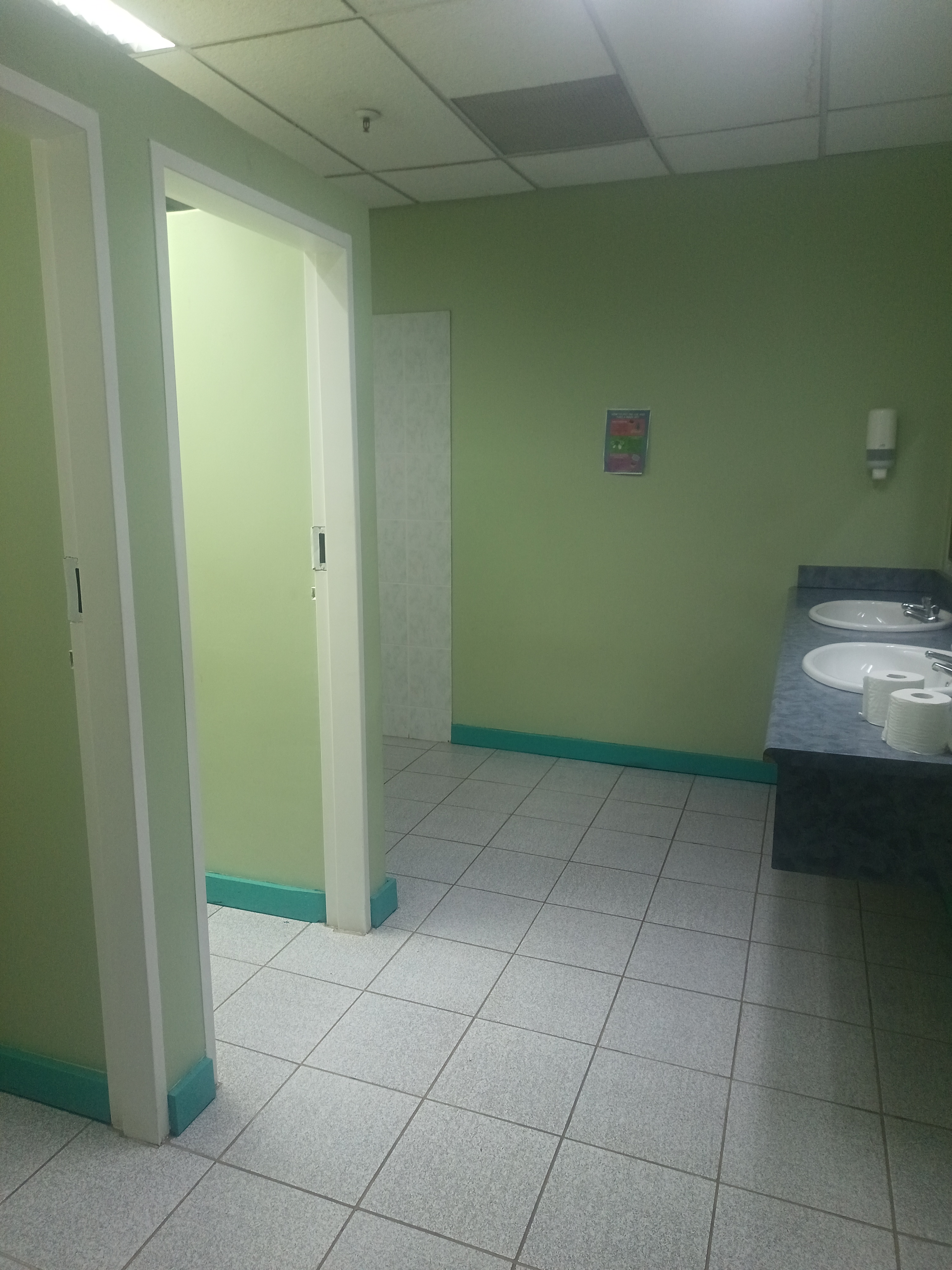 Toilet Photo