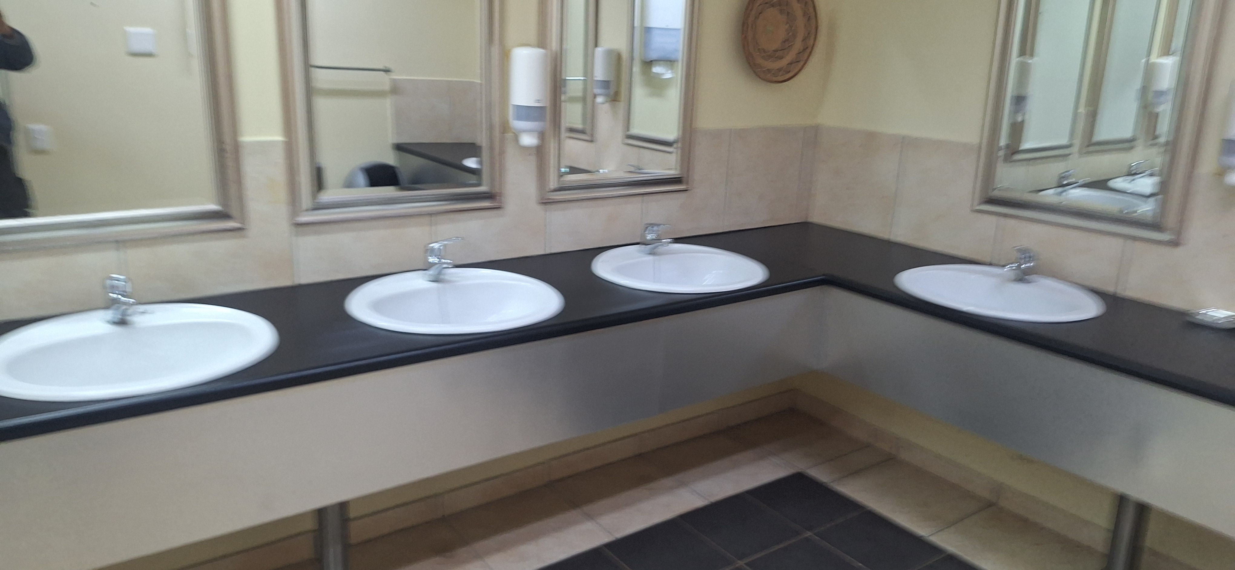 Toilet Photo