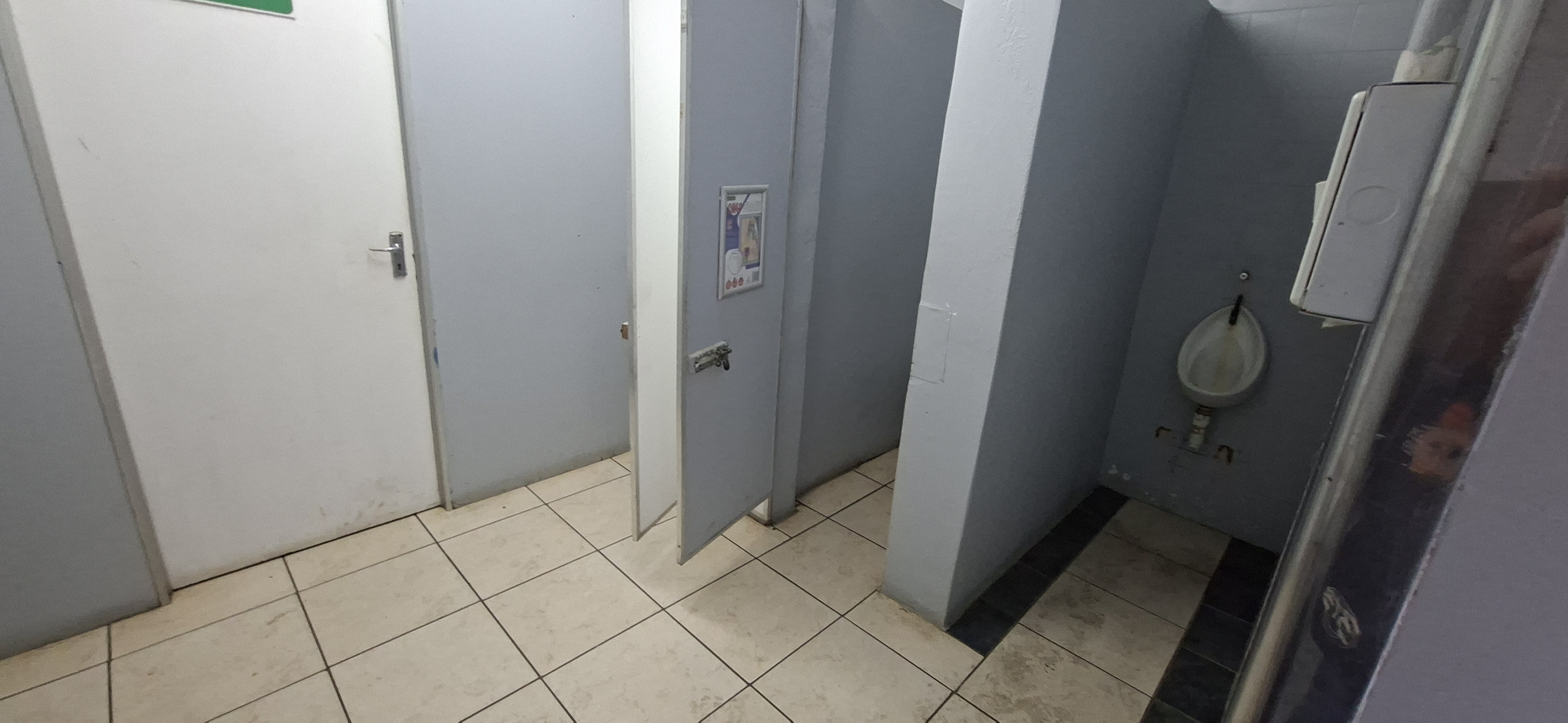 Toilet Photo