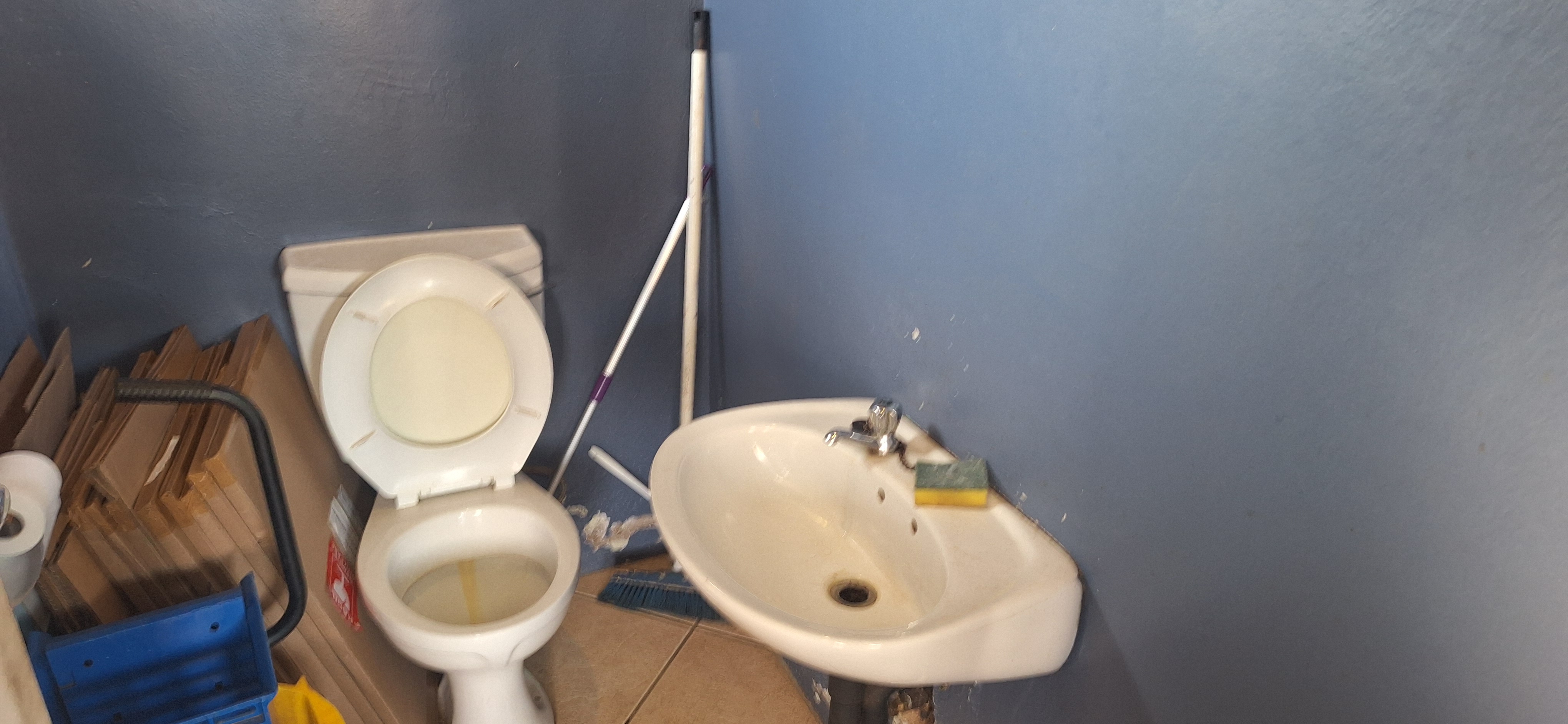 Toilet Photo