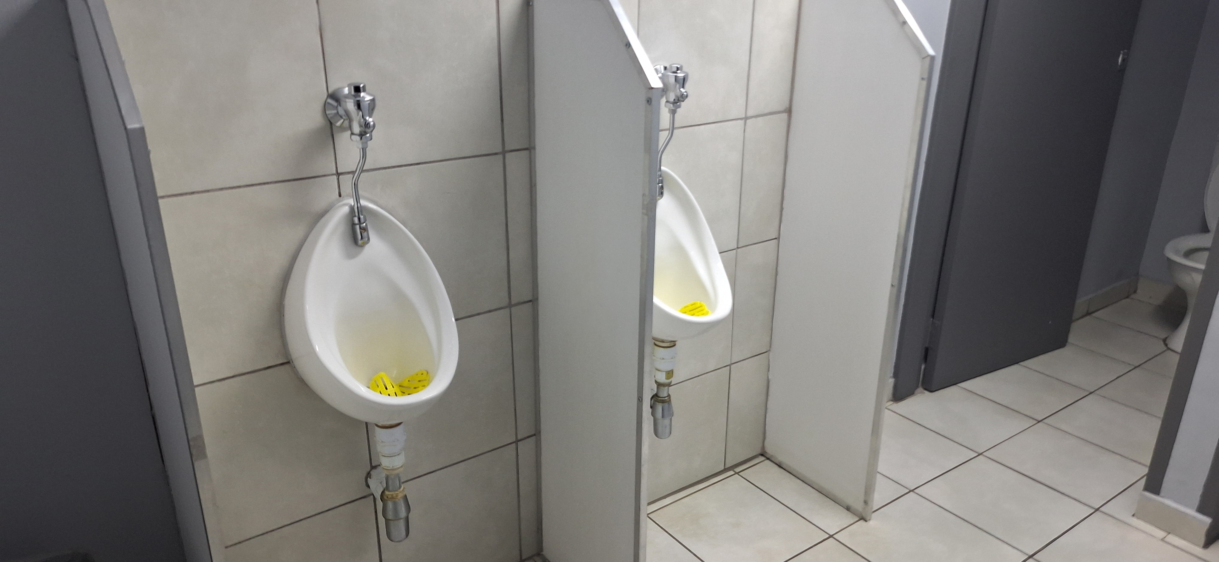Toilet Photo