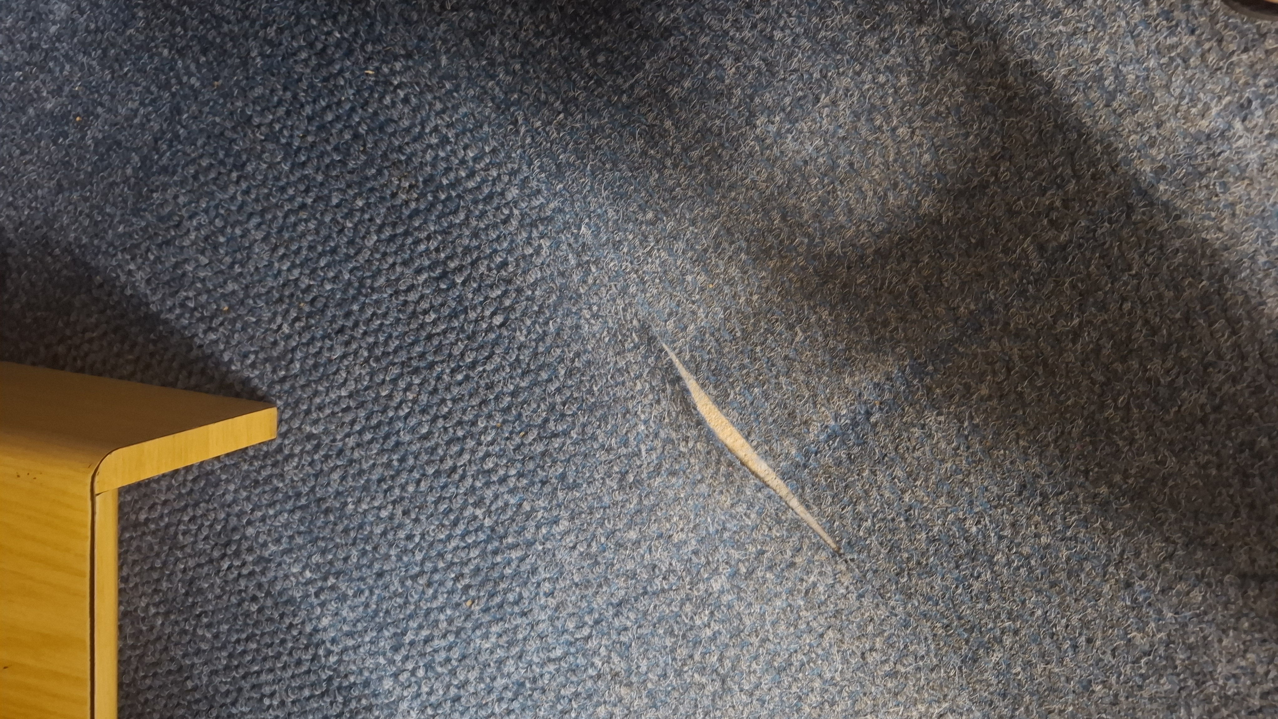 Reported fault photo